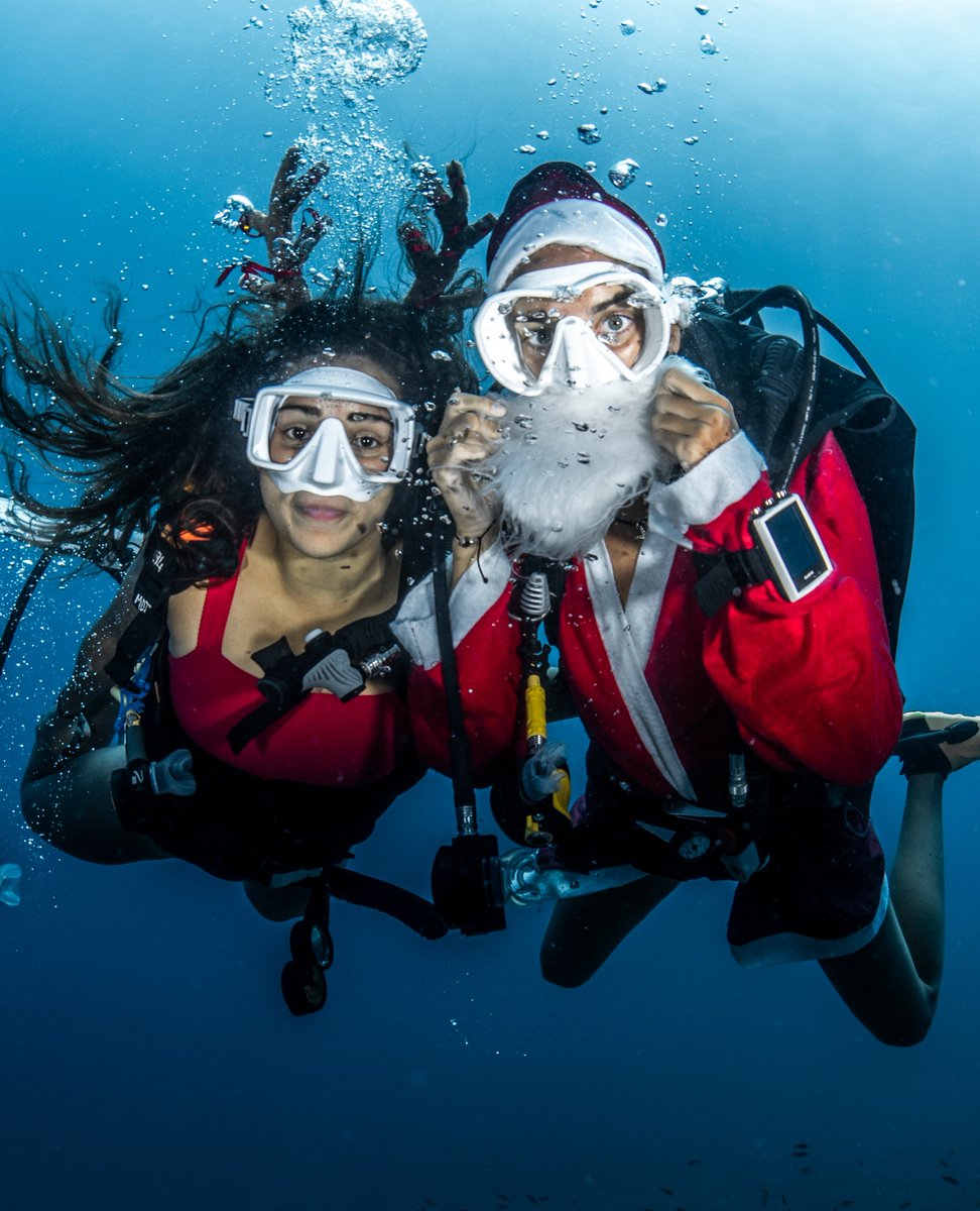 deeperblue's tweet photo. We wish you a very merry Christmas and an adventurous 2021!๐ ๐บ Enjoy the holidays and remember to balance relaxing and being active!
Start your adventure now >> https://t.co/CYYMQTHe6a
#suuntodive #suuntoeoncore #suuntod5 #freediving #scuba #testedforadventure #christmas2020 https://t.co/ydtFMQYm4h
