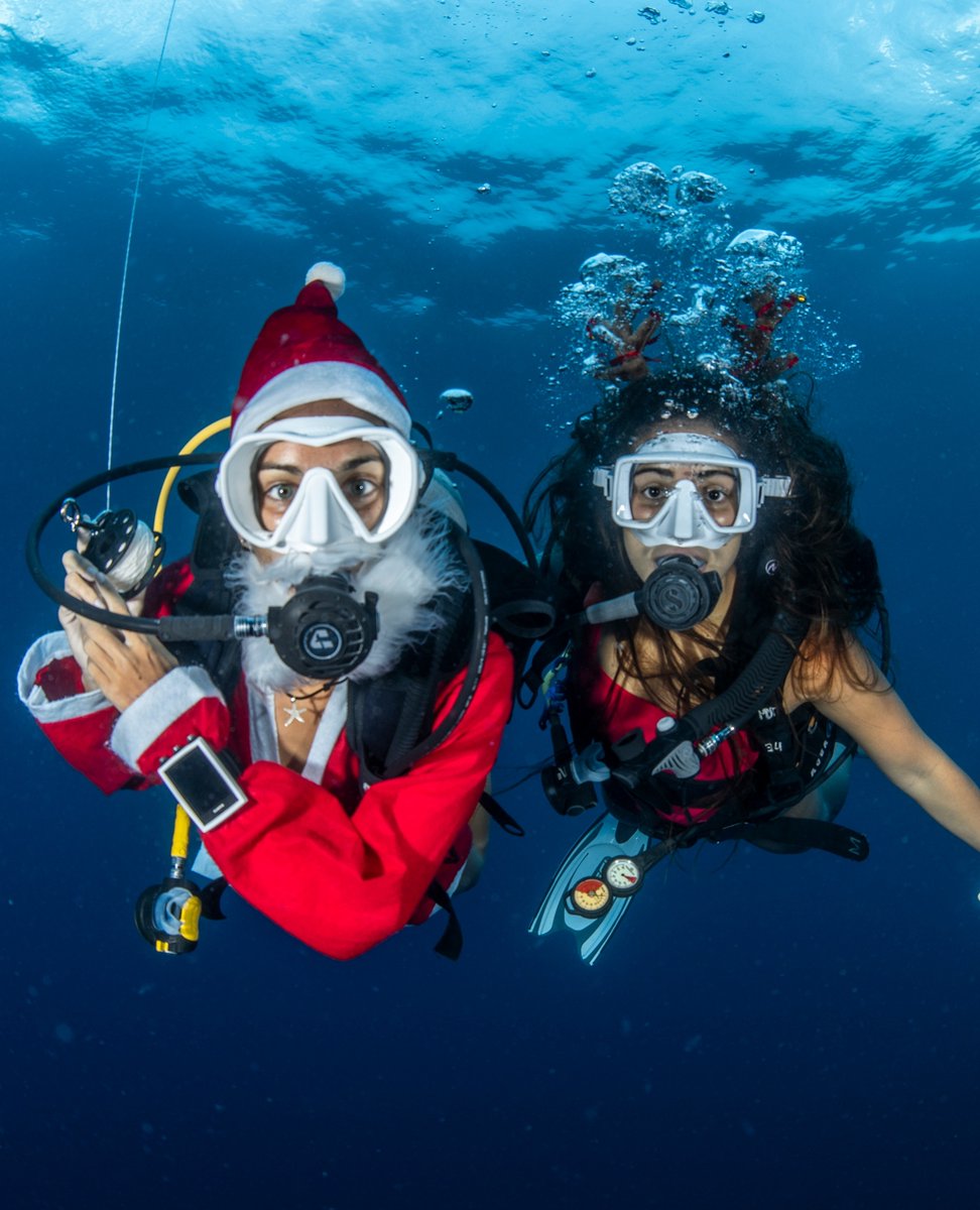 deeperblue's tweet photo. We wish you a very merry Christmas and an adventurous 2021!๐ ๐บ Enjoy the holidays and remember to balance relaxing and being active!
Start your adventure now >> https://t.co/CYYMQTHe6a
#suuntodive #suuntoeoncore #suuntod5 #freediving #scuba #testedforadventure #christmas2020 https://t.co/ydtFMQYm4h