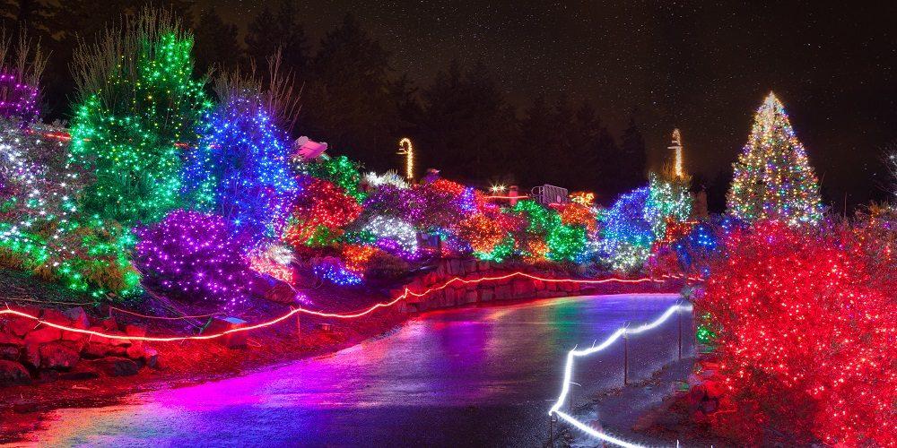 ntilink's tweet image. Have you seen our latest news? conta.cc/38rhJtr