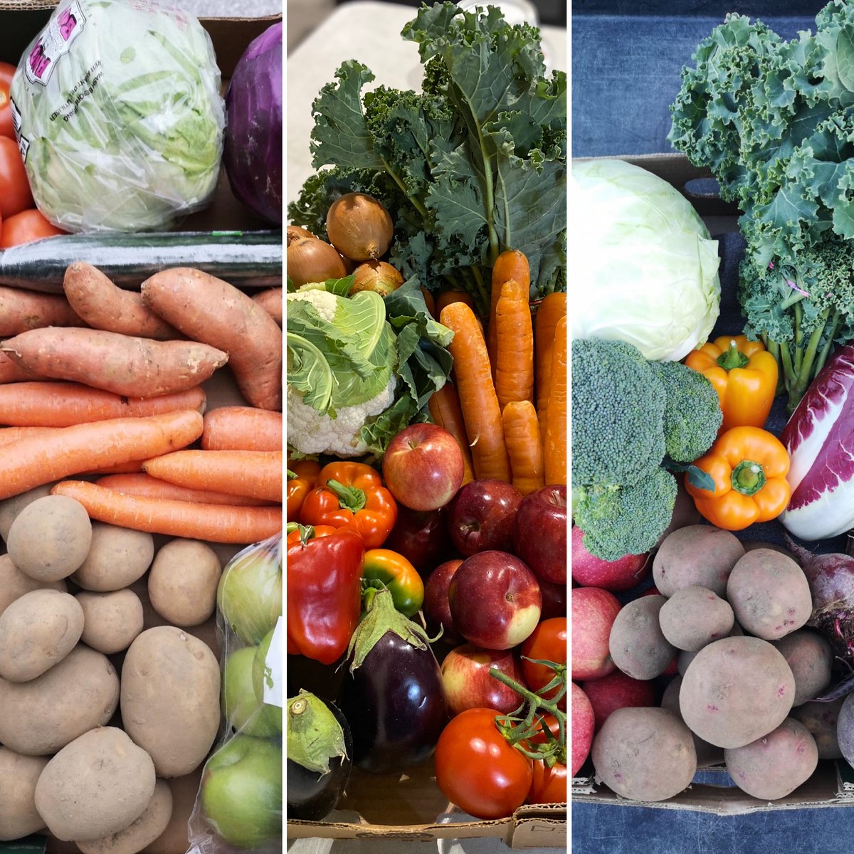 YRFoodNetwork's tweet photo. Good Food Boxes offer quality 🥒🌶 &amp; 🍊 🍏 that are an affordable way to eat healthy.
@YRFoodNetwork works with local suppliers/farmers to purchase fresh produce at wholesale &amp; pass that along to you.
Order your #GoodFoodBox for Jan 6 contactless pickup https://t.co/ONGf4yFkKS https://t.co/4m9E4n6N7m