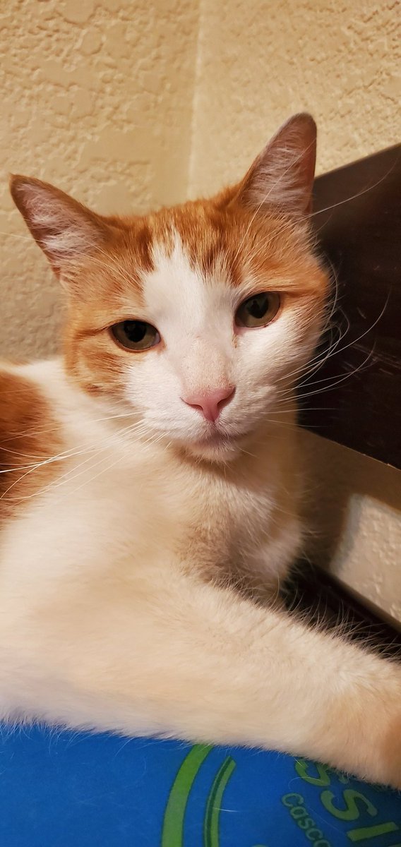 Hawt_dog (@hawtdog17) on Twitter photo 