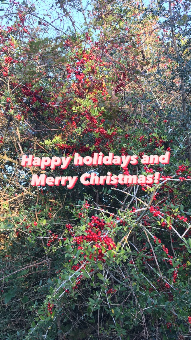 5RiversDelta's tweet photo. Happy holidays and Merry Christmas! 5 Rivers will be closed Christmas Eve and Christmas Day, as well as New Year's Day. (1/2) https://t.co/sgWIWr7b9s