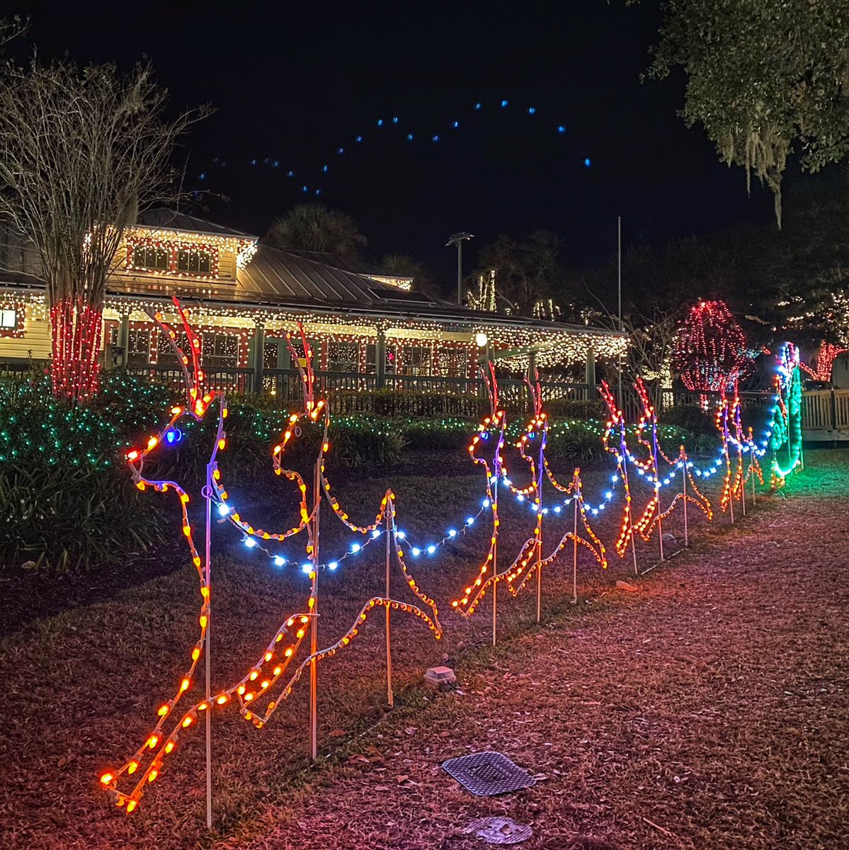 ElisabethWriter's tweet photo. We had so much fun checking out the #holidaylights in #downtownmountdora with Cheryl and David last night! ✨ #writinglife @Mike_Flys https://t.co/yc1ayM66Af