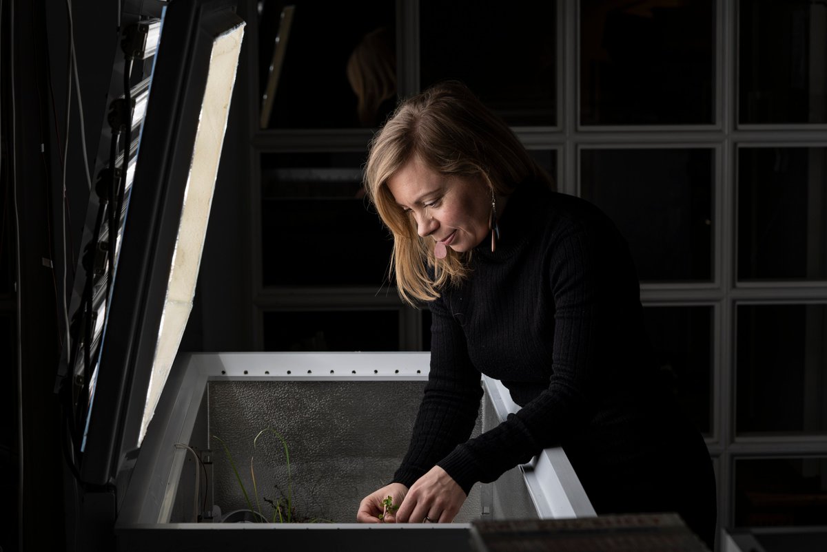 Review of my 2020. Why? To develop, learn and be thankful. To appreciate the positives and to learn from the negatives. To plan what to aim for and what to avoid (if possible). Happy 2021 everyone!