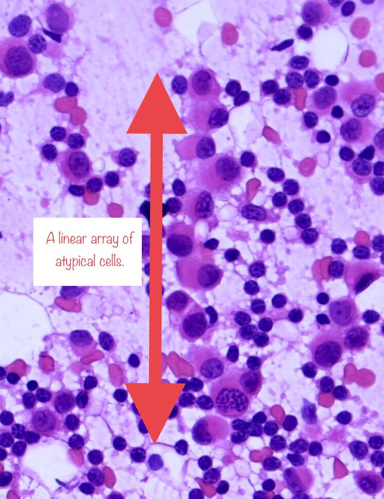 7. Click the pictures to expand, to make sure you see all the annotations.