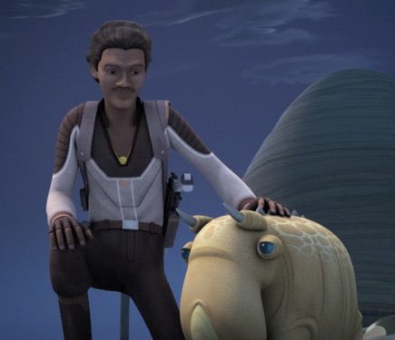 12. There is a species of animal in the galaxy called a Puffer Pig that can sniff out minerals and inflate themselves like beach balls when in danger. They are so sought after for mining operations, Lando Calrissian traded a Twi’lek woman he’d just met to a crime lord for one.