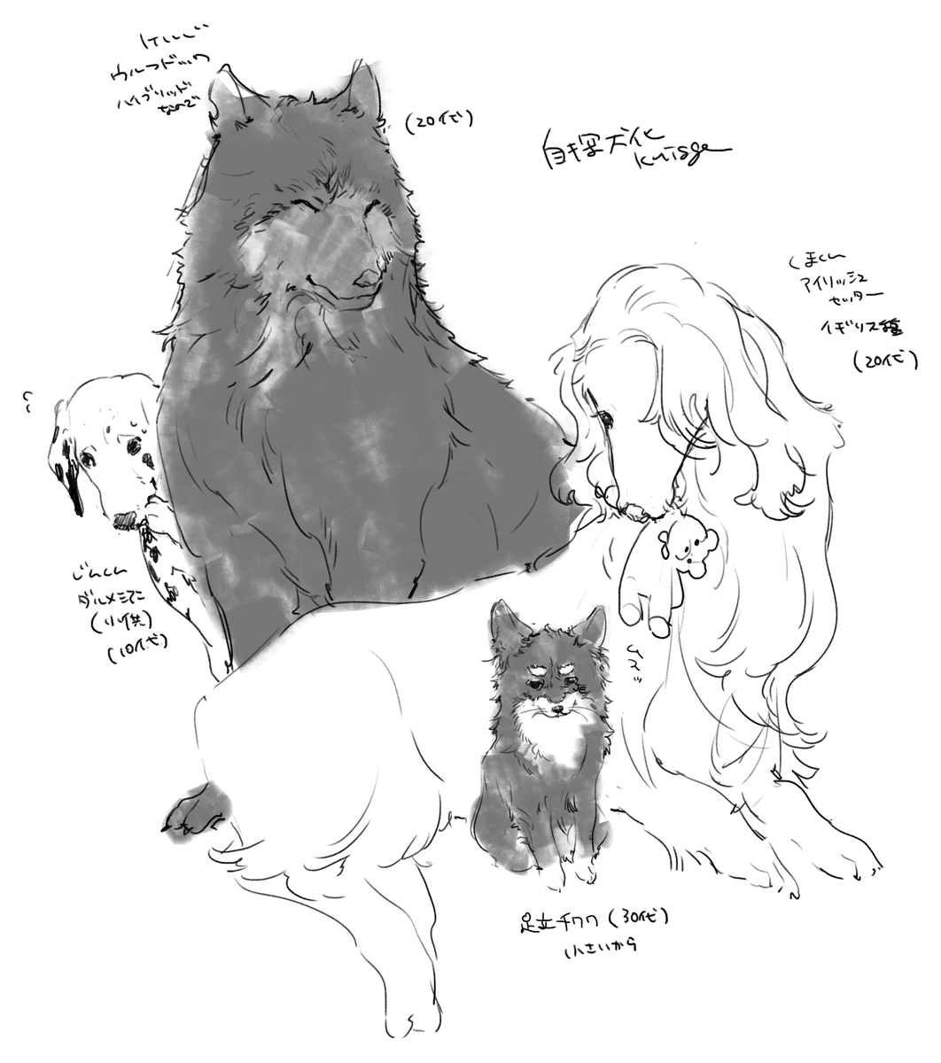 自探犬化 #knisgecoc 
