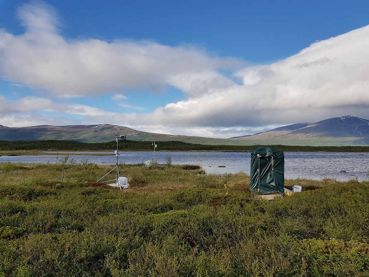 My favorite own publications this year were our first  #eddycovariance study of a peatland and a lake  https://doi.org/10.5194/acp-20-13399-2020, our first insect herbivory-mountain birch paper  https://doi.org/10.3389/fpls.2020.558979, and our modeling study on tundra VOC emissions  https://doi.org/10.1073/pnas.2008901117