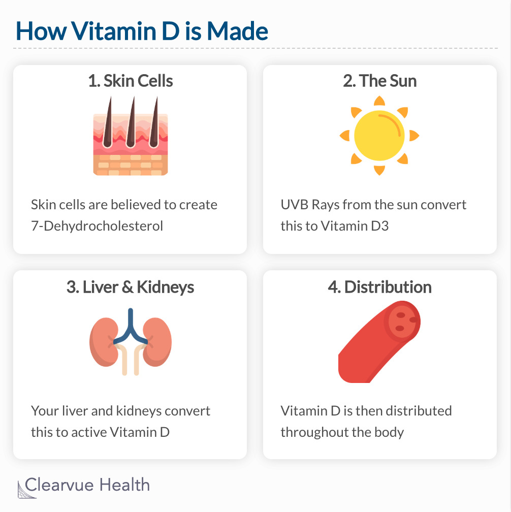 ClearvueHealth's tweet image. 🤔Why does Vitamin D matter?
Read our analysis➡️clearvuehealth.com/d/vitamind-fat…
#vitaminD #nutrition #fatigue #healthcare #factsheet