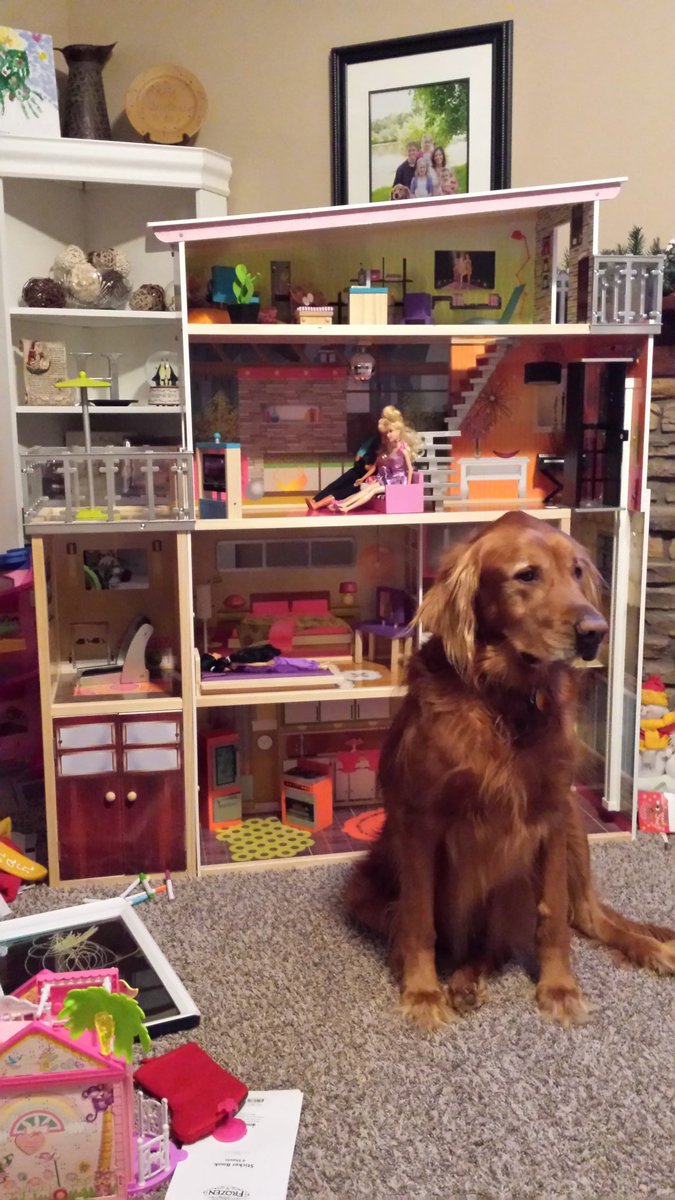 Kirk Haaland tweet media