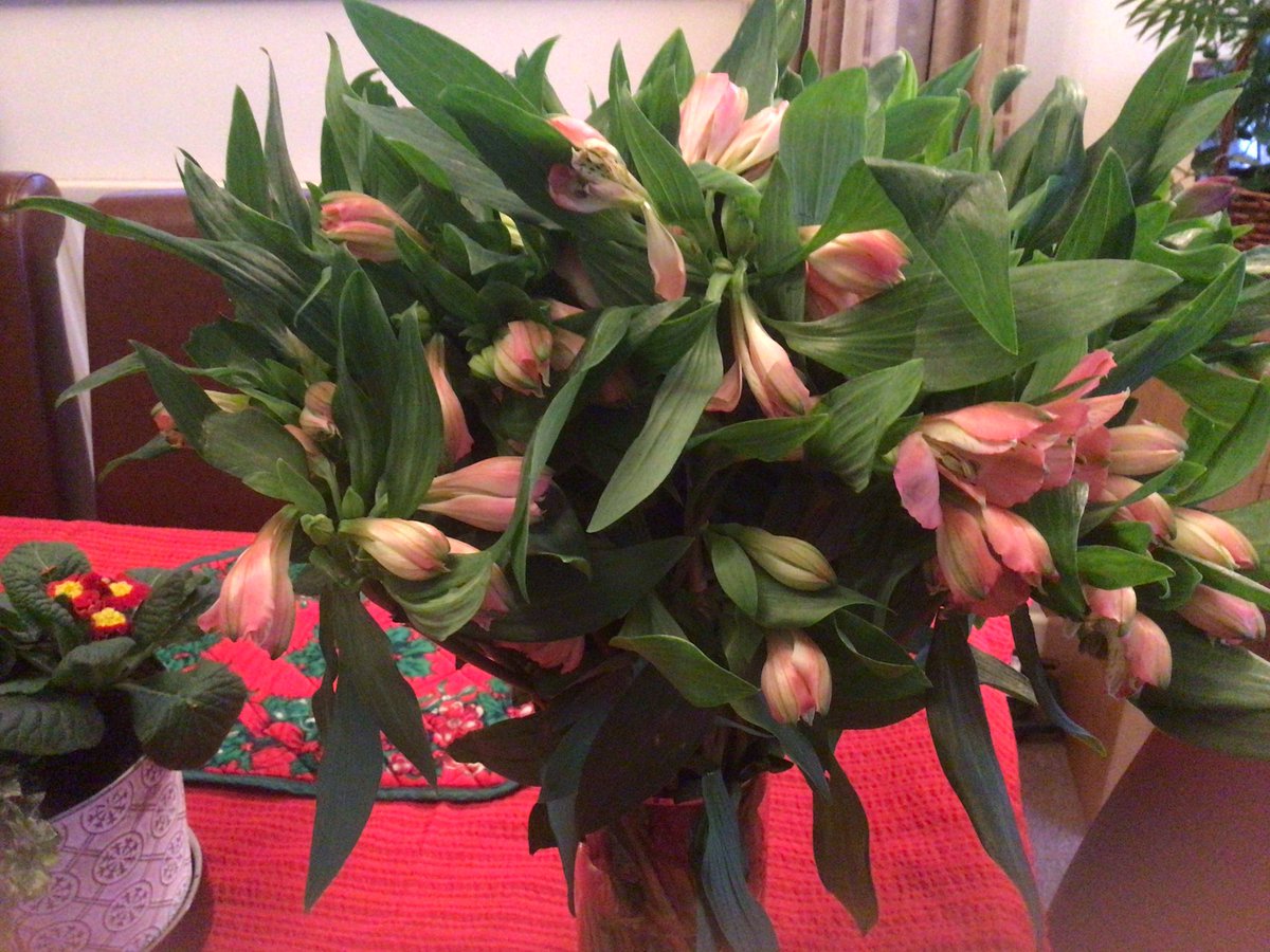 <a href="/ArenaFlowers/">Arena Flowers</a> I must compliment you on the quality and presentation of the flowers we received timely today on the occasion of our Golden Wedding Anniversary.