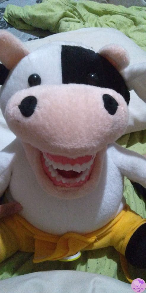 mutualanbase's tweet image. moots tidur atau kumakan?