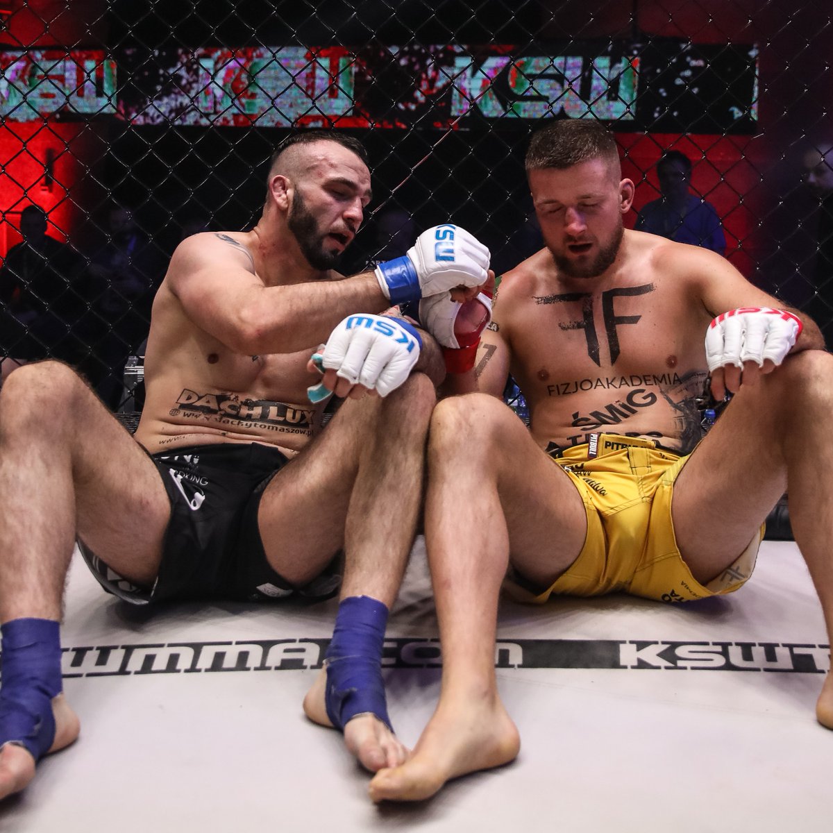 KSW_MMA's tweet photo. 🤜🤛 #KSW57 https://t.co/Tr4eB1MbIq
