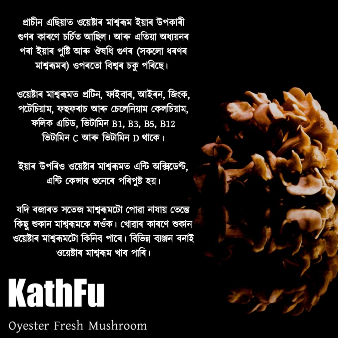 KathFuOfficial's tweet photo. Mushroom fact ♥️
#kathfu #mushroom #mushroomfact #assam https://t.co/hyujjNBh7U