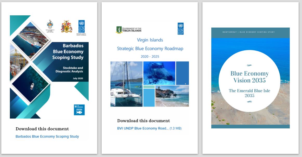 2020 results @UNDPBarbados: BLUE ECONOMY  
UNDP has facilitated the elaboration of national BE Strategies in 4 countries/territories, expanded the Blue Economists programme w/ University of West Indies and experimented with new technologies w/ <a href="/UNDPAccLabs/">UNDP Accelerator Labs</a> 
BE = jobs + resilience