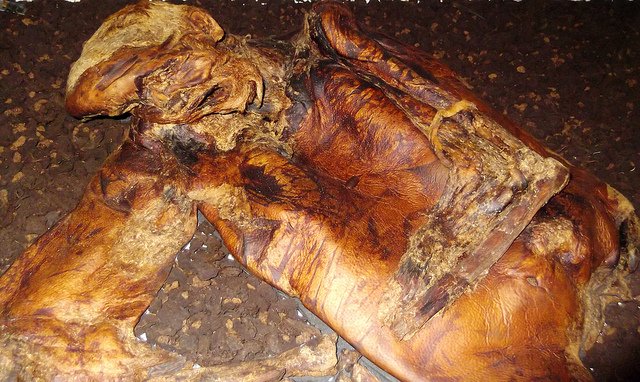 (4/10) When the preserved remains of the 2,000-year-old bog body known as Lindow Man, scientists also found evidence of his last, which included a grilled bran pancake that had burned while it was cooking, and a drink made from mistletoe.