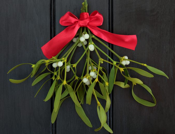 (6/10) Mistletoe can act as a stimulant, increasing blood pressure and heartbeat (though both of these effects can wear off very suddenly, which can be dangerous). In this way, mistletoe was sometimes used to treat angina and heart ailments.