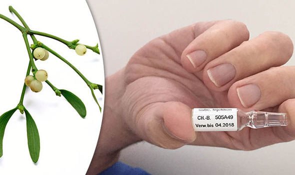 (7/10) Today, researchers have begun conducting experiments with mistletoe that show an extract from the plant not only kills cancer cells in certain animals, but also boosts their immune systems, helping the body to fight off the disease naturally.