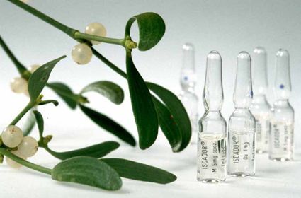 (8/10) These results, however, have not been proven to work reliably in humans to date, and more experiments are needed before we can understand what (if any) are the effects of mistletoe on cancer.