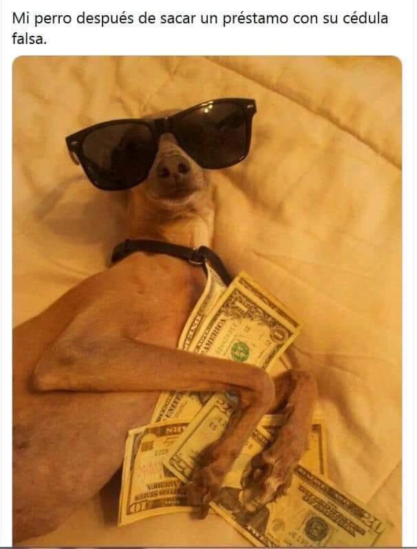 Jorge Cardona tweet media