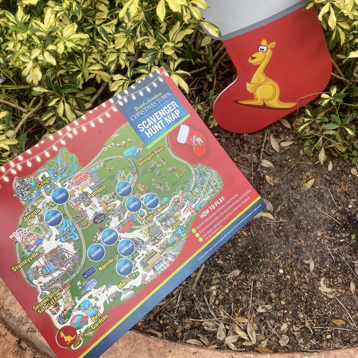 TuckBeck's tweet photo. Finding Stockings Throughout Busch Gardens, And Having So Much Fun!!! This Is The Busch Gardens Christmas Scavenger Hunt Baby!!! 🎄🎅🏼🎄 #BuschGardensBlogger #Christmas #Christmastown #BuschGardens #BuschGardensChristmas ❄️ https://t.co/luwsy0Q791