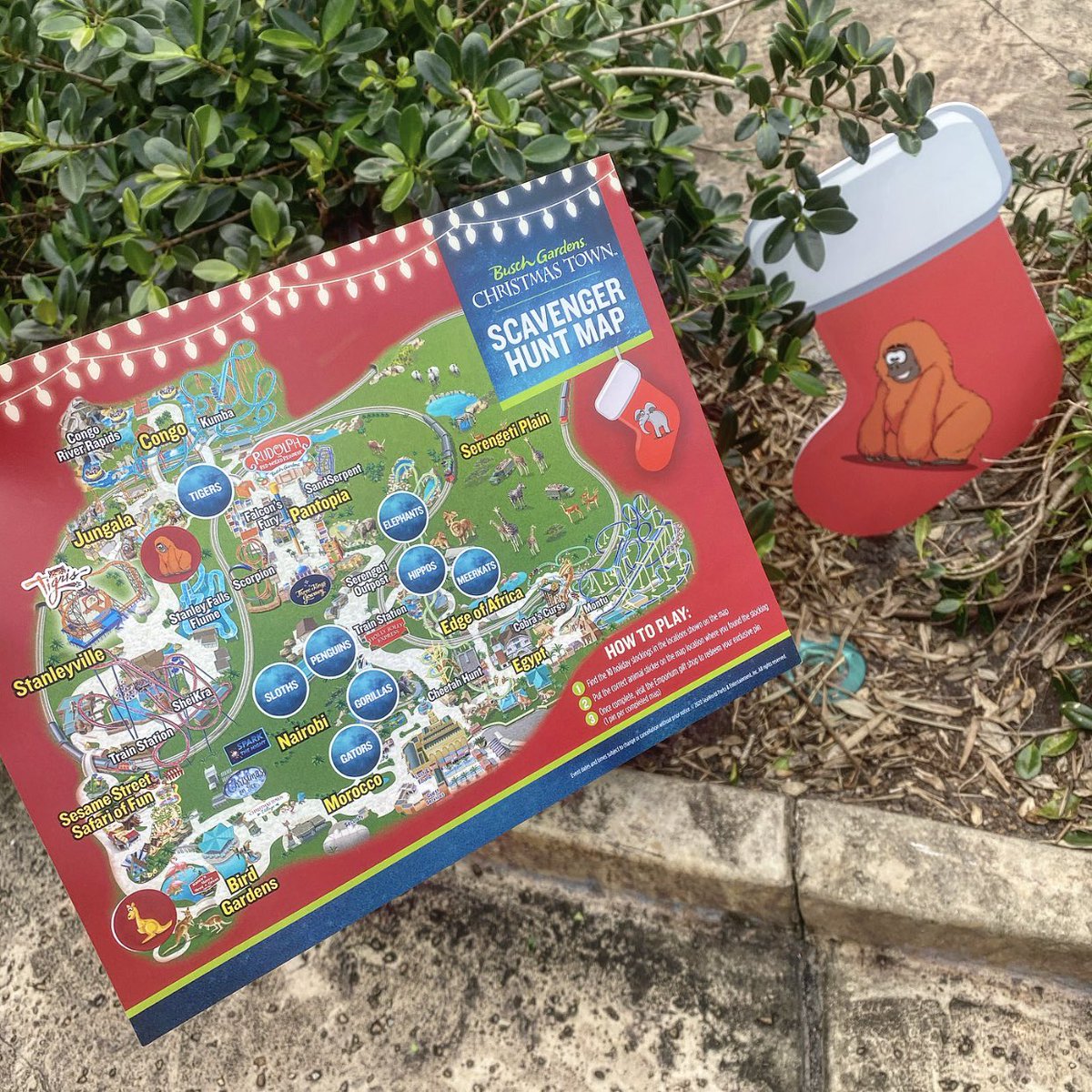 TuckBeck's tweet photo. Finding Stockings Throughout Busch Gardens, And Having So Much Fun!!! This Is The Busch Gardens Christmas Scavenger Hunt Baby!!! 🎄🎅🏼🎄 #BuschGardensBlogger #Christmas #Christmastown #BuschGardens #BuschGardensChristmas ❄️ https://t.co/luwsy0Q791