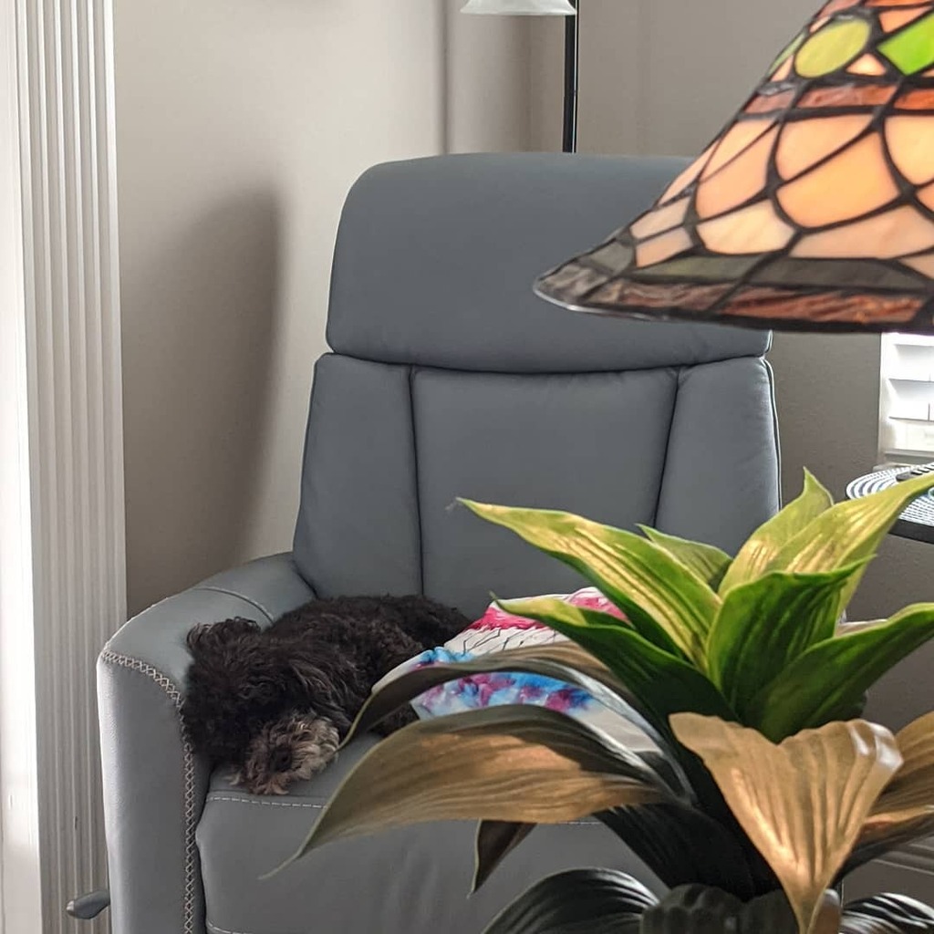 _jessdalrymple's tweet photo. My coworker can't wait for today to be over so they don't have to work until the new year. https://t.co/5yc6EtUVuA