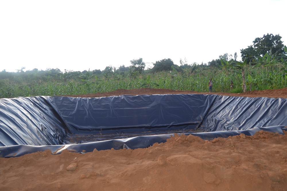 RDO_Rwanda's tweet photo. This #damsheet built by @RDO_Rwanda in Isangano village Rwimiyaga sector of @NyagatareDistr is starting to fill up with water, it will benefit farmers in the village, under #Enhancing #Sustainable #livelihoods https://t.co/DGUtZoGofU
