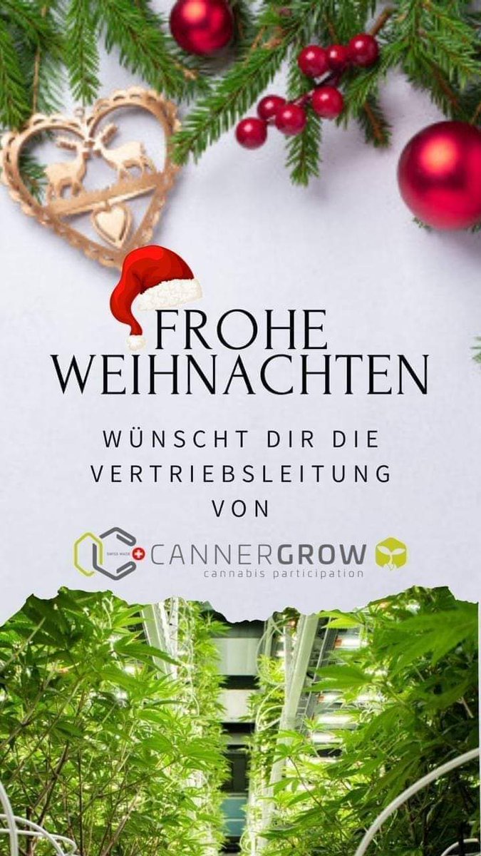 CannerCookies's tweet photo. Cannerald 🇨🇭🌱📊📈🔜🔜🔝
#marrychristmas 🇨🇭🌱
#CBD Switzerland #cannabis #healthy #legal #medical #swiss #like #and #follow #cannergrow #we #grow #for #you #instagram #CannabisCommunity #cannabisLegal #cannabisindustry #Twitter #schweiz #Rechtslage2020 #Trending https://t.co/gesjkR0mrv