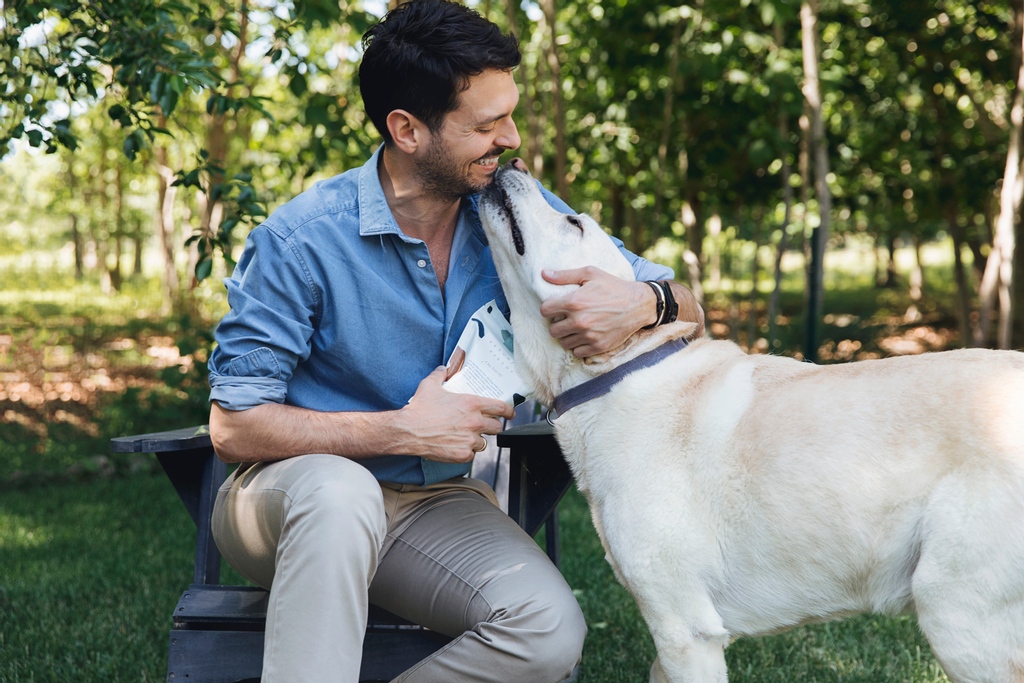 Joy to the world, and every dog  ♥️ ✨