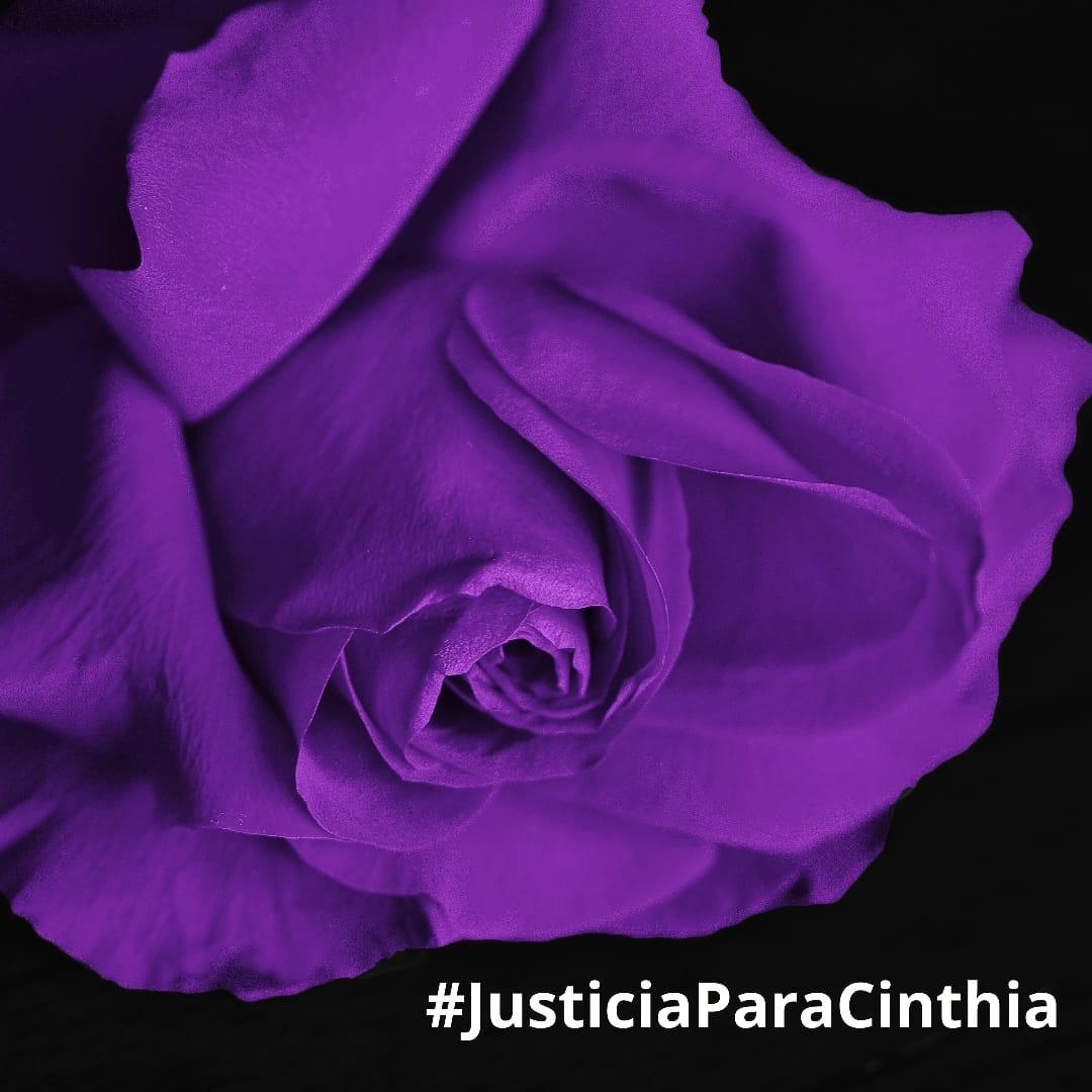crissonido's tweet photo. Cinthia fue cruelmente violada y asesinada y el abogado defensor logro que su asesino salga libre.
 
Comparte y que se haga viral, que el día de hoy el Estado dejó libre al femicida de Cinthia. #EstadoFeminicida #AsesinosImpunes
#ParaCuandoLaReparación
#JusticiaParaCinthia https://t.co/yBO7XKpRSi