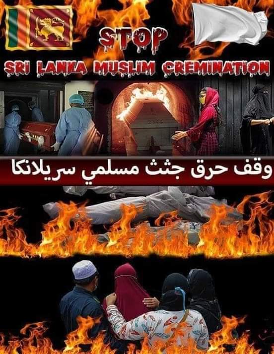 033dc54433034ce's tweet photo. @PresOfPakistan Please help Srilanka Muslim https://t.co/SDOf7VI8Wp