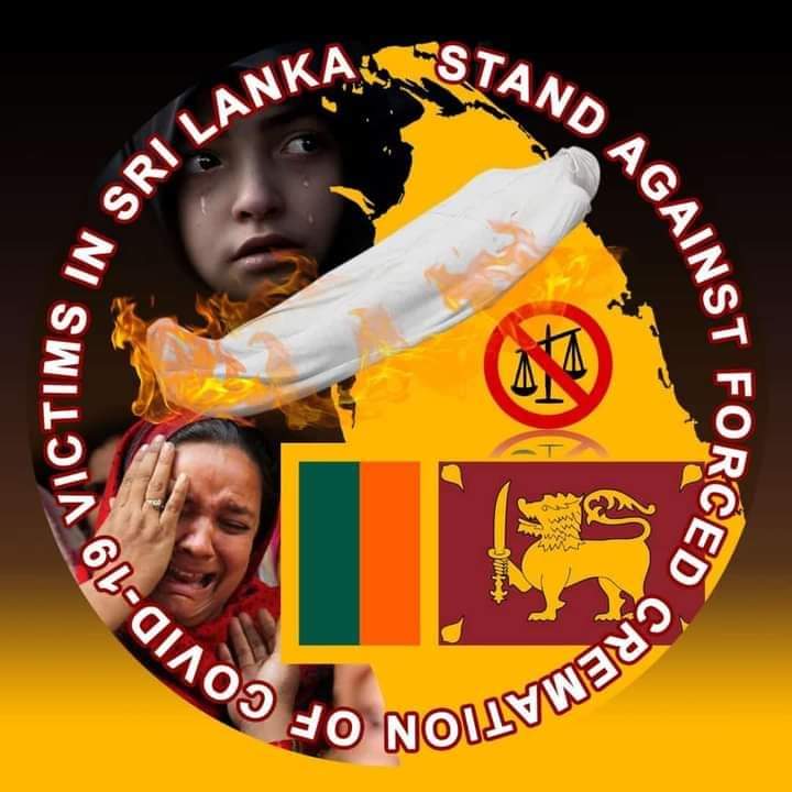 033dc54433034ce's tweet photo. @PresOfPakistan Please help Srilanka Muslim https://t.co/SDOf7VI8Wp