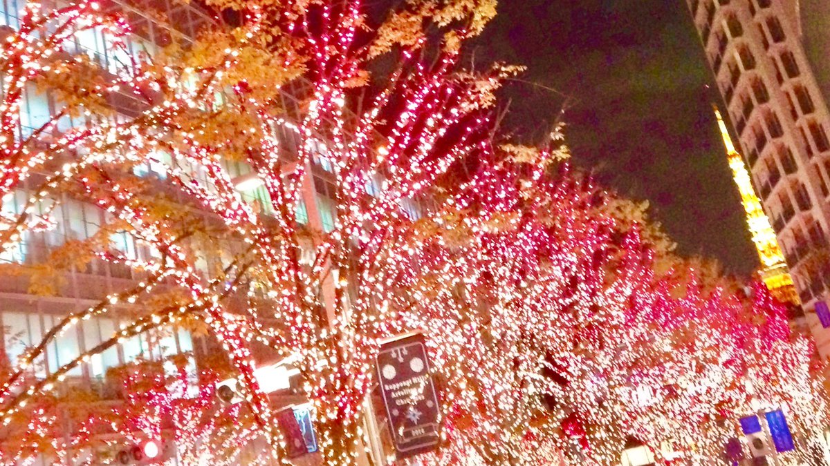 suzu0358's tweet photo. ꙳✧˖°⌖꙳✧˖ °⌖꙳

ときには無邪気になる
童心に戻って
思いっきり遊ぶことも
大切なことですね

忘れかけていた
純粋な気持ちを
取り戻せるかもしれない

ワクワクしようね

꙳✧˖°⌖꙳✧˖ °⌖꙳

Merry Xmas
#おはようございます
#おは戦21224dm
#クリスマスイブ
#Christmas https://t.co/U79Qw2aYml