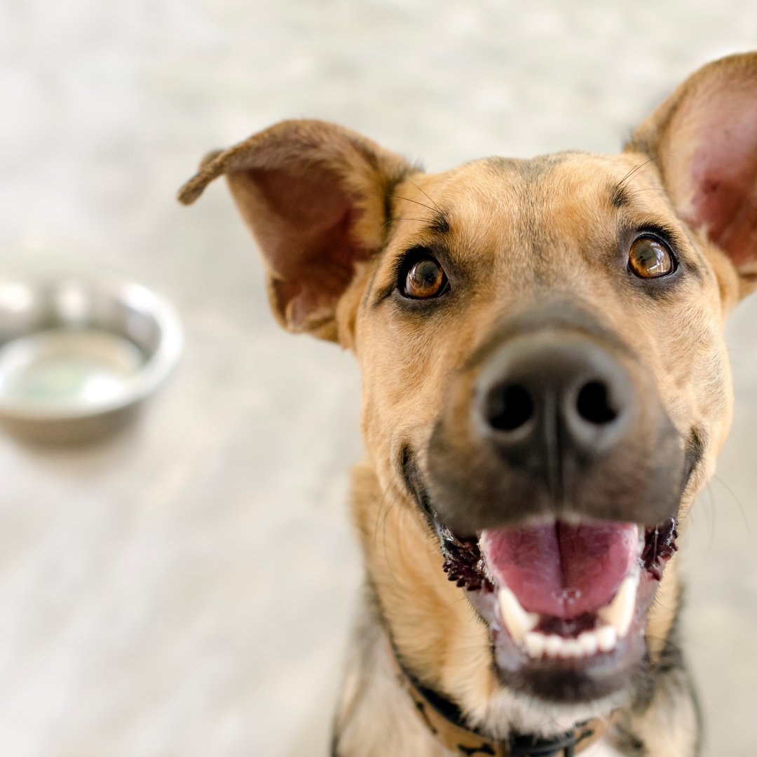 Canpressco tweet media