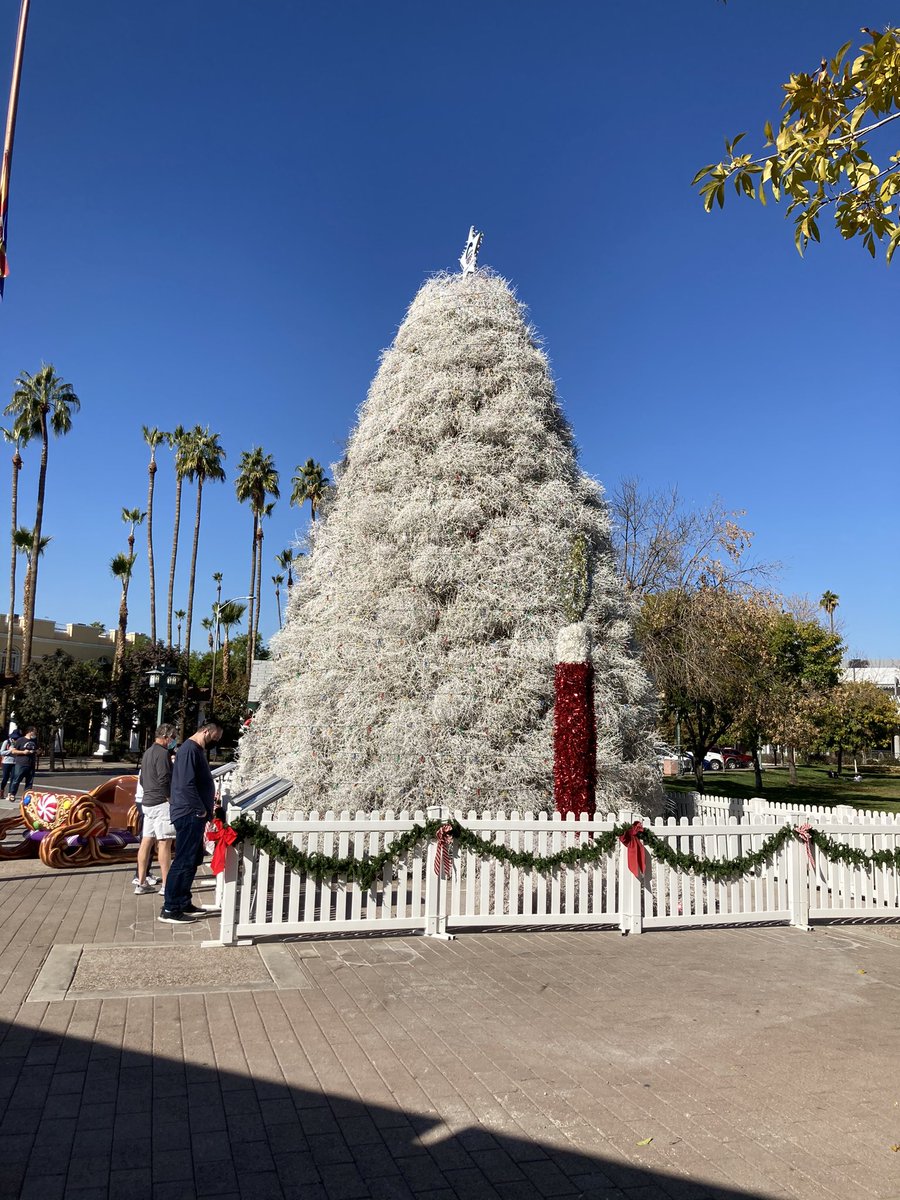 andetlefsen's tweet photo. Found coffee and tasty things at the #downtownchandler cafe @dc_cafe_ #coffee #smoothies #familyroadtrip @cityofchandler #tumbleweedtree https://t.co/kyYj2jXjhL