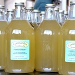 Photo by CommuniTea Kombucha (@ComKom)