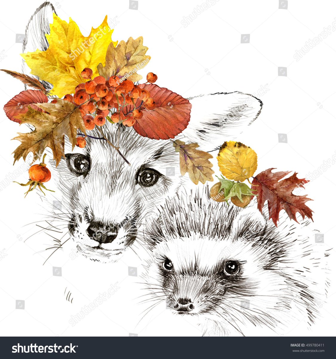 The Greek poet Archiochus wrote: “The fox knows many things, but the hedgehog knows one big thing". 
Me - I'm a hedgehog and I just know this: schools leaders, teachers, and school staff have done amazing things over the past year. 
So simply this: thank you. 
Am now signing off.