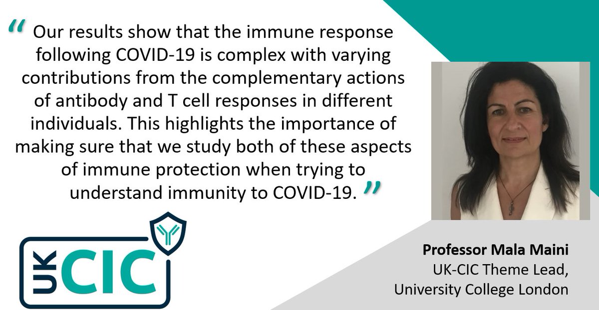 1/ We’re pleased to contribute to this new  @SciImmunology paper showing both T cell & antibody responses are important in  #COVID19 immunity at 4 months post mild/asymptomatic infection  @Imperialcollege  @ucl  @QMUL  @QMULBartsTheLon  @PHE_uk  @royalfreeNHS https://www.uk-cic.org/news/both-t-cell-and-antibody-responses-important-covid-19-immunity-4-months-post-infection 