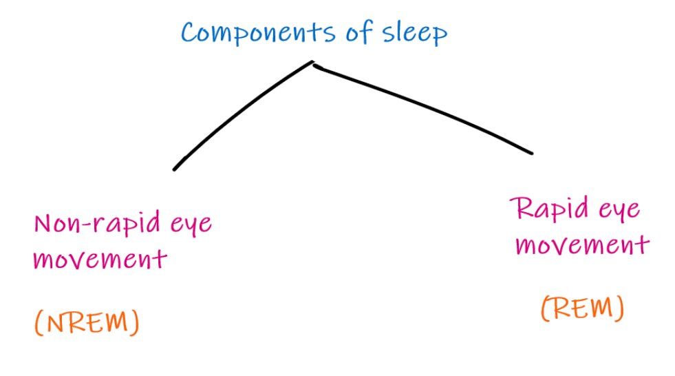10/n We oscillate between two kinds of sleep throughout the night. These are characterised by the movement of our eyeballs.