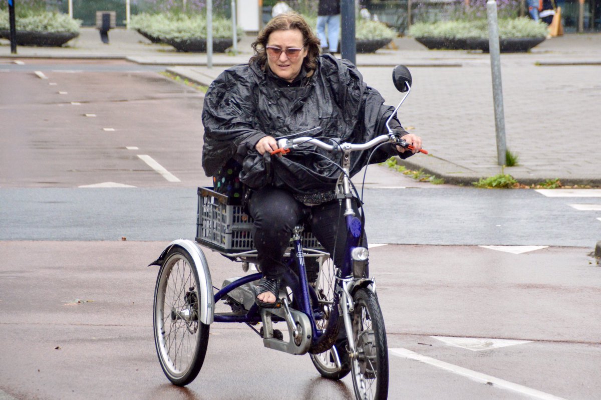 Melissa & Chris Bruntlett tweet media