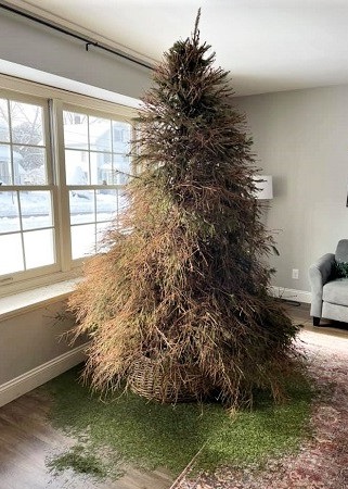 If 2020 Were A Christmas Tree . . . sfme.org/2020/12/23/if-… #pandemicchristmas #Christmas2020 #Christmashope #powerofChristmas #disappointingChristmas #meaningofChristmas