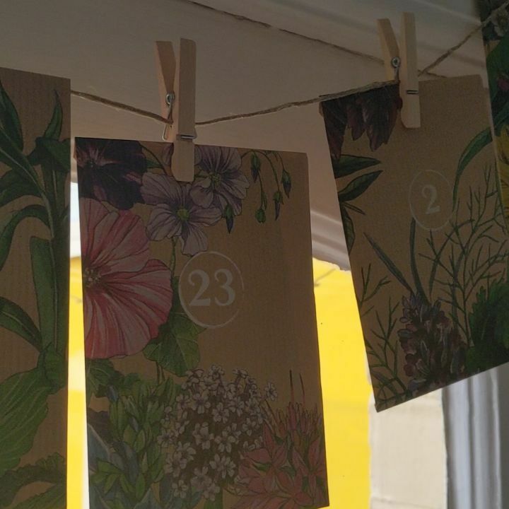 marieowyn's tweet image. Advent Day 23🎄🎄🎄

Nearly at the end of this advent calendar!
 
Today&apos;s seeds are a useful medicinal herb should you be attacked with an iron sword 😉
🎄🎄
🎄🎄
🎄🎄
#adventday23
#vervainflowers 
#verbenaofficinalis 
#gardenadventcalender instagr.am/p/CJJdGD6hwk3/