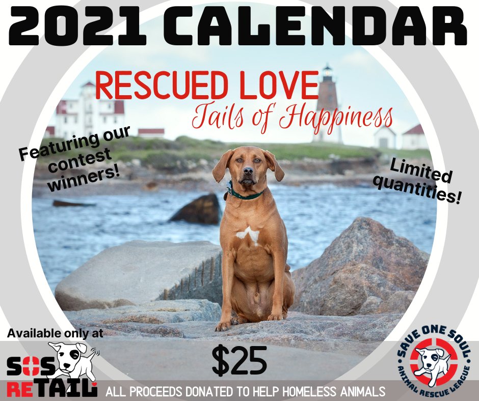 Looking for a great fit for your fellow dog-lover? Help them get ready for #2021 with one of our <a href="/SaveOneSoulARL/">Save One Soul ARL</a> calendars! The calendars are available for purchase in-store or via phone for $25 (including tax). ALL proceeds will go to help homeless animals.