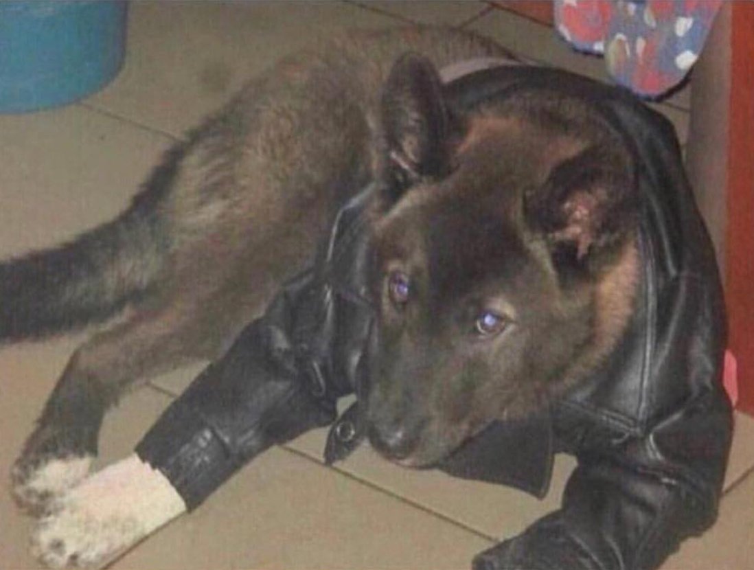 CauseWereGuys's tweet photo. When you're a good boy but she wants a bad boy https://t.co/BF9yi4bYwW
