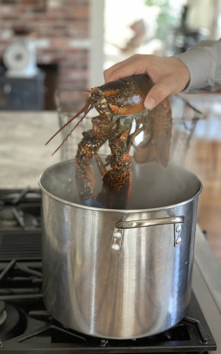 door_dok's tweet photo. Be Careful cooking your live lobster and remember to remove those bands or else it will taste chewy.

 #foodshopping #foodstuffshopping #lovefood #foodpornography #groceryhaul #covidfood #isolationfood #groceriesshopping #grocery #groceries https://t.co/JZzKH6tJDV