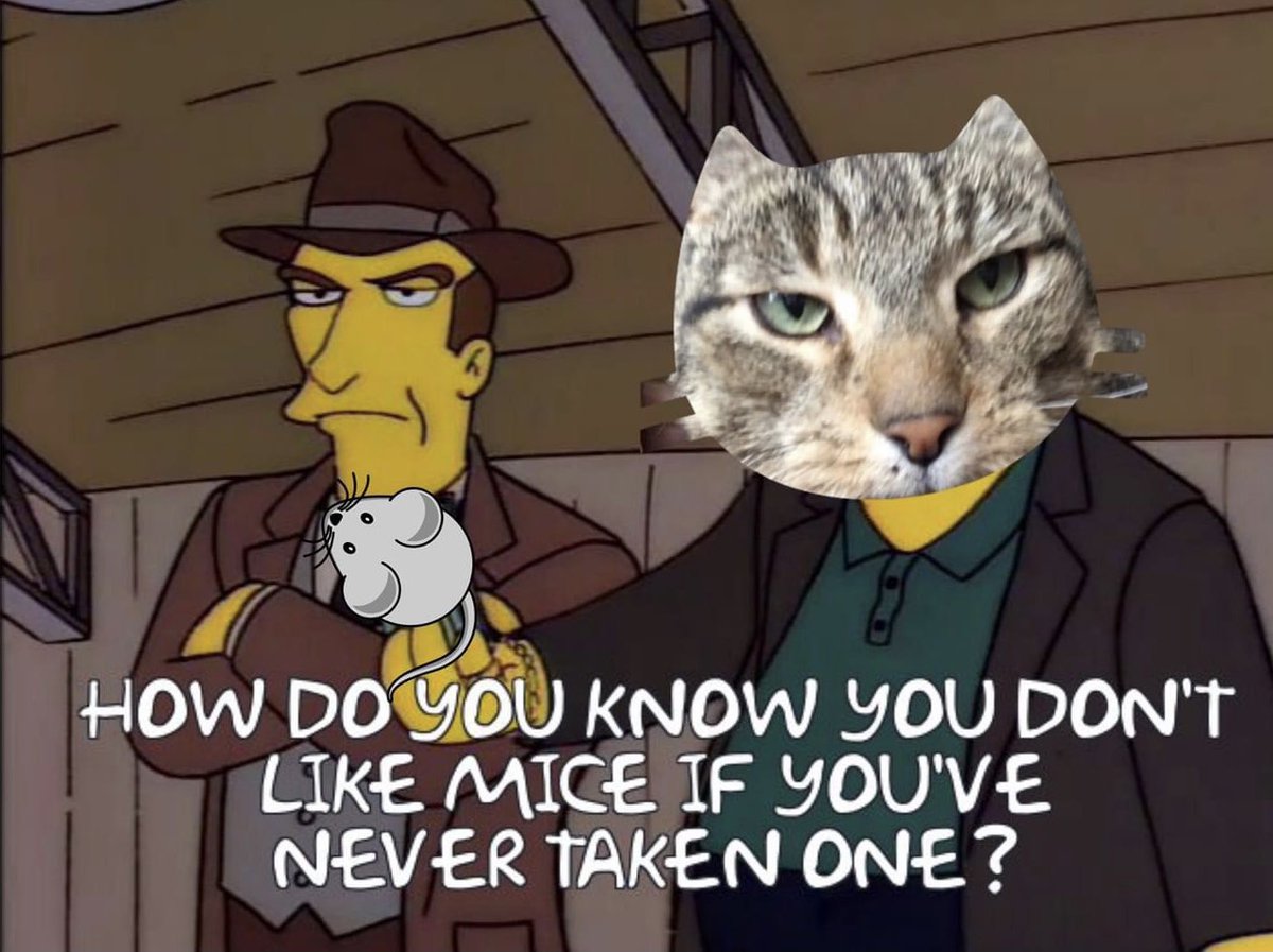 Ireland Simpsons Fans Cats Bringing Presents Like