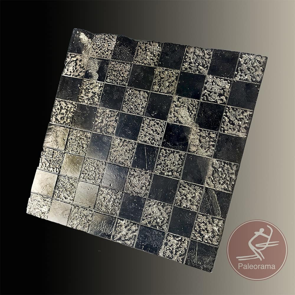 ExtinctsT's tweet image. Gambito de venus!!! Acabamos de terminar nuestro &quot;Paleoajedrez&quot; con #venuspaleoliticas gravetienses.