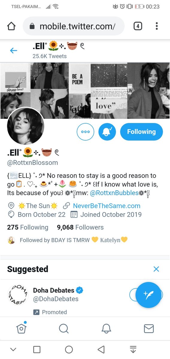 aqlhaitham's tweet photo. @ItxLauxren @RottxnBlossom Done with extra ❤️✨ https://t.co/AcM66mz4qr