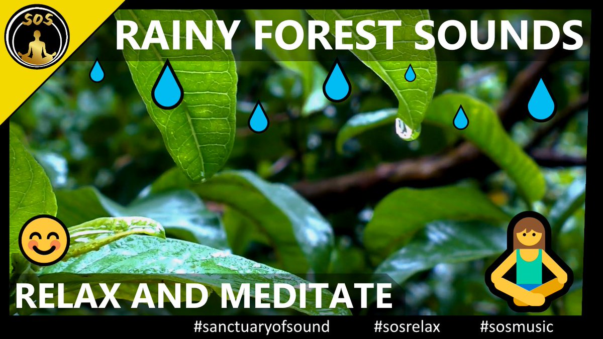 SanctuaryofSoul's tweet photo. Lets unwind together! 
30 Minutes of listening to the peaceful Forest, the Rain and its soothing Rain Drops 💦🌦
Calm Sounds for Relaxation, Stress Relief and Meditation 🧘

#sanctuaryofsound #sosmusic #sosrelax 

--> https://t.co/YLahqA22QI https://t.co/01onaTe0zU